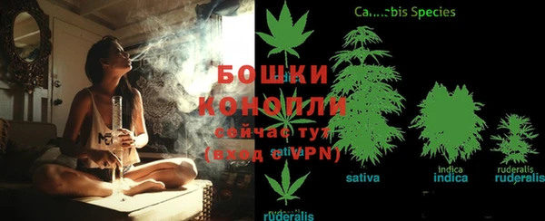 ГАЛЛЮЦИНОГЕННЫЕ ГРИБЫ Новодвинск