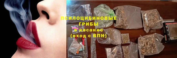 ГАЛЛЮЦИНОГЕННЫЕ ГРИБЫ Новодвинск