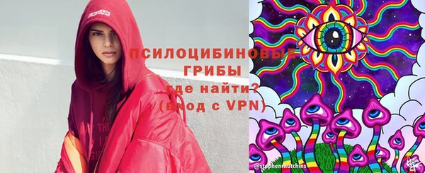 ешки Новозыбков