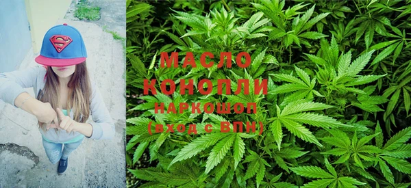 ешки Новозыбков