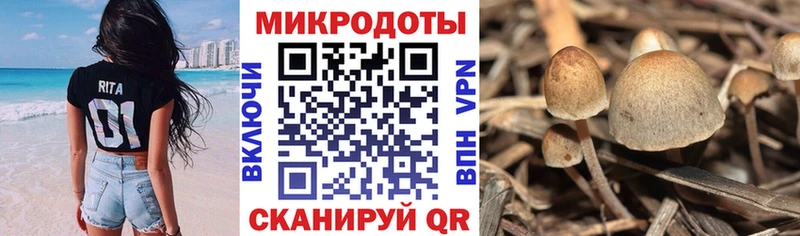 Псилоцибиновые грибы MAGIC MUSHROOMS  как найти закладки  Киренск 